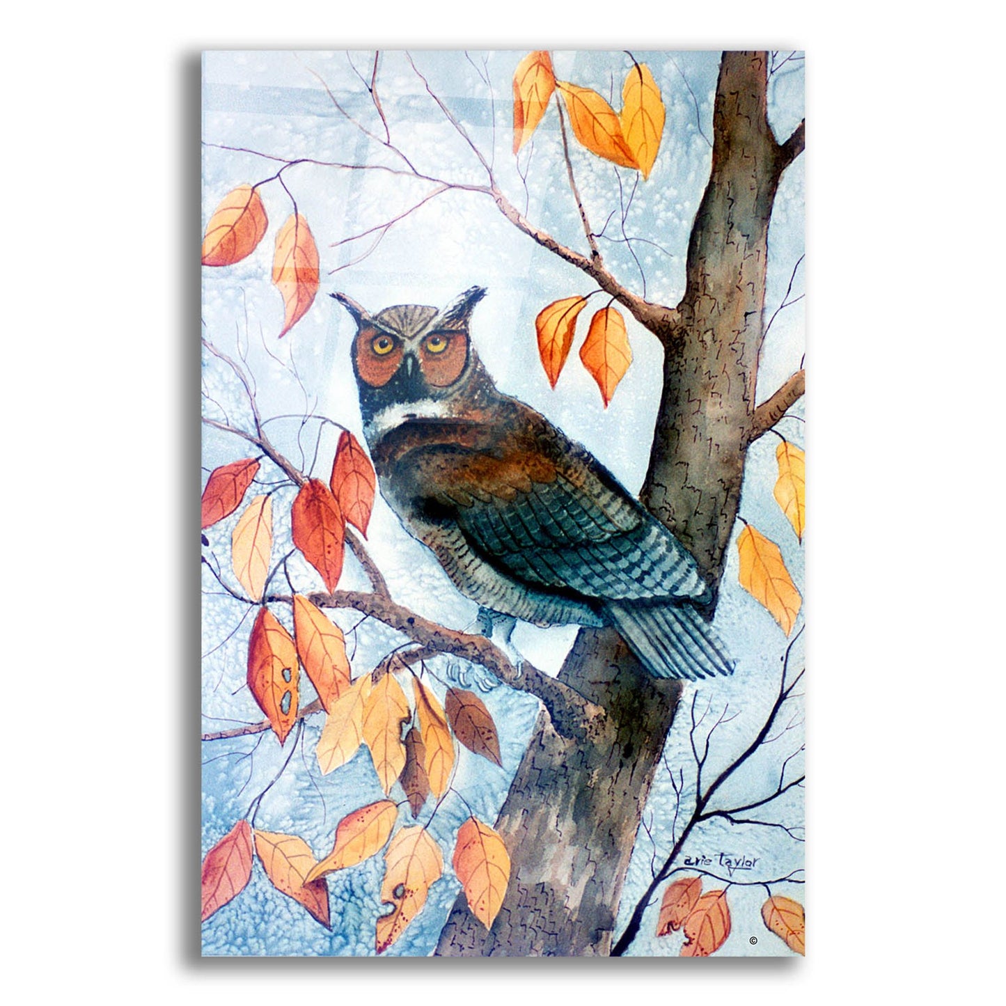 Epic Art 'Owl and Autumn Leaves' by Arie Reinhardt Taylor, Acrylic Glass Wall Art