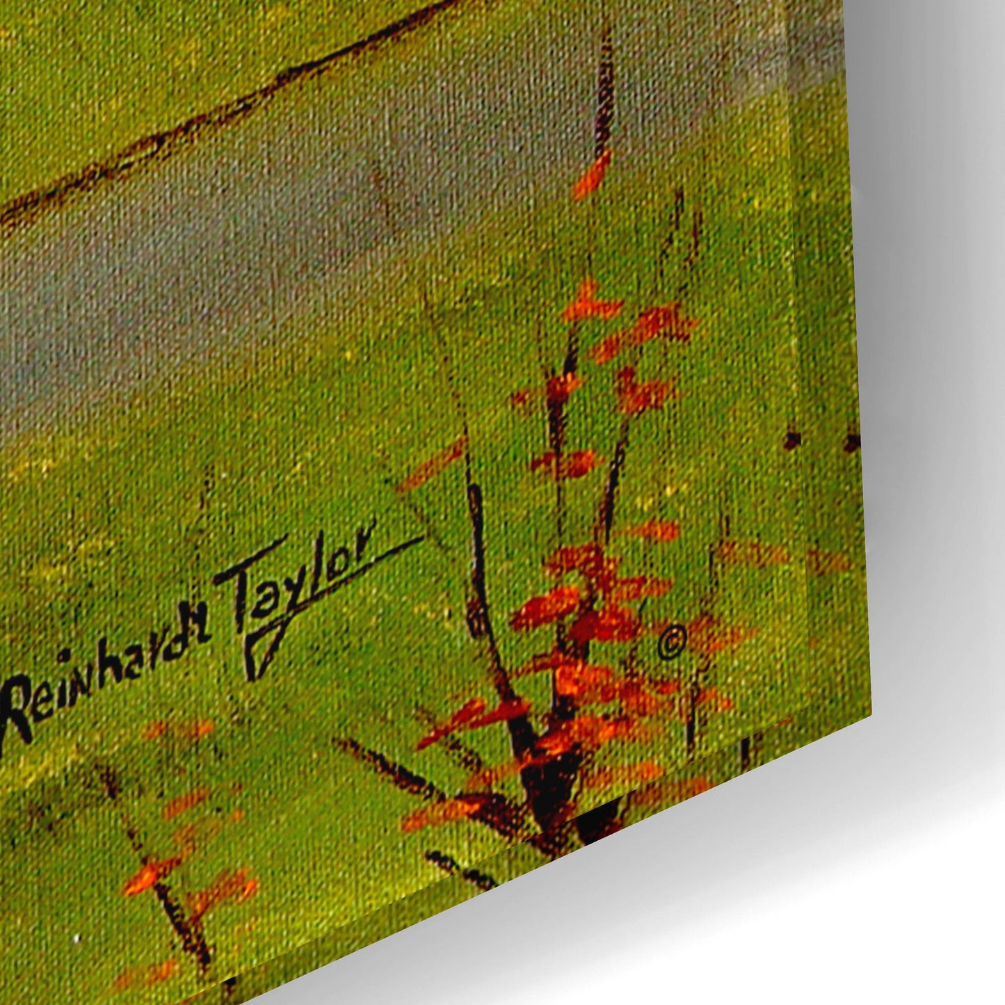 Epic Art 'St. Paul's in Autumn' by Arie Reinhardt Taylor, Acrylic Glass Wall Art,24x16