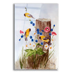 American Goldfinch 3 by Arie Reinhardt Taylor acrylic glass wall art