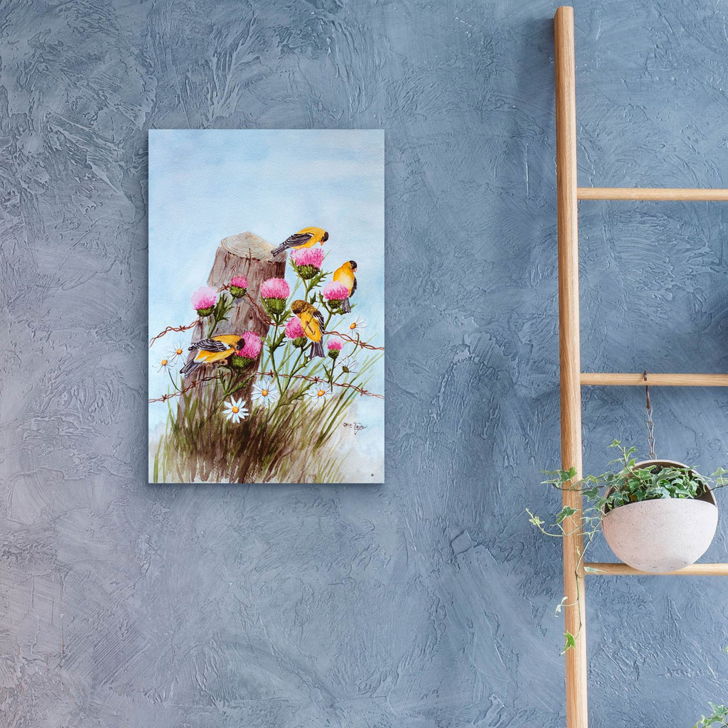 American Goldfinch by Arie Reinhardt Taylor - 16x24 acrylic wall art in a room