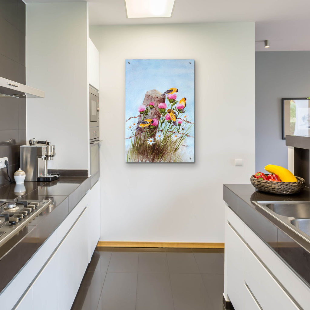 American Goldfinch by Arie Reinhardt Taylor - 24x36 acrylic wall art in a room