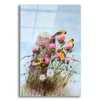 American Goldfinch by Arie Reinhardt Taylor acrylic glass wall art