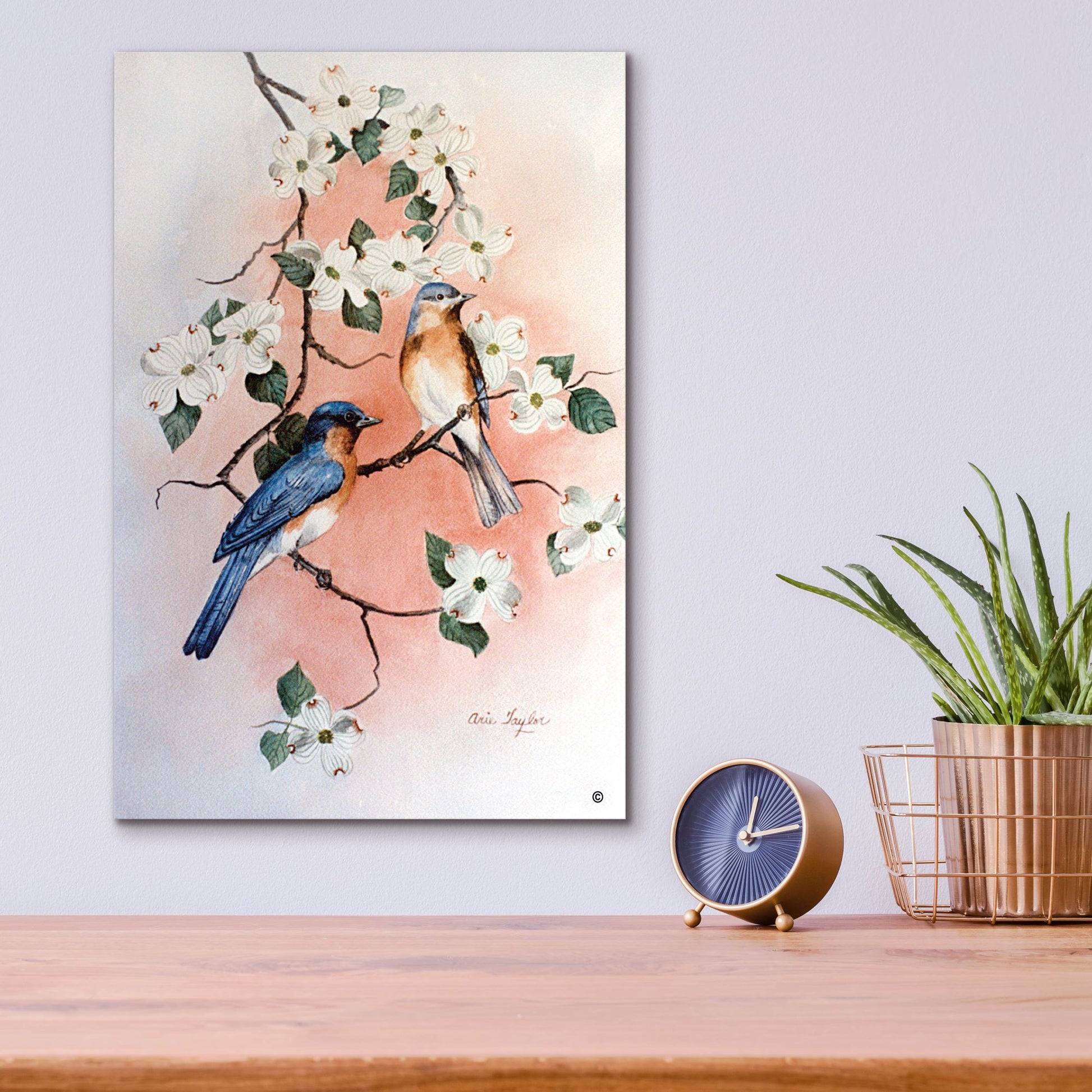 Epic Art 'Bluebirds and Dogwood' by Arie Reinhardt Taylor, Acrylic Glass Wall Art,12x16