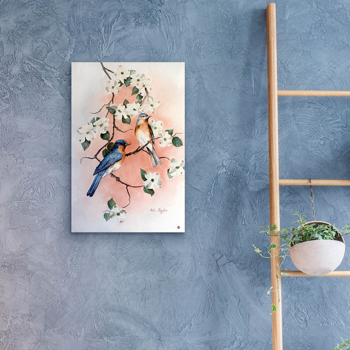 Epic Art 'Bluebirds and Dogwood' by Arie Reinhardt Taylor, Acrylic Glass Wall Art,16x24