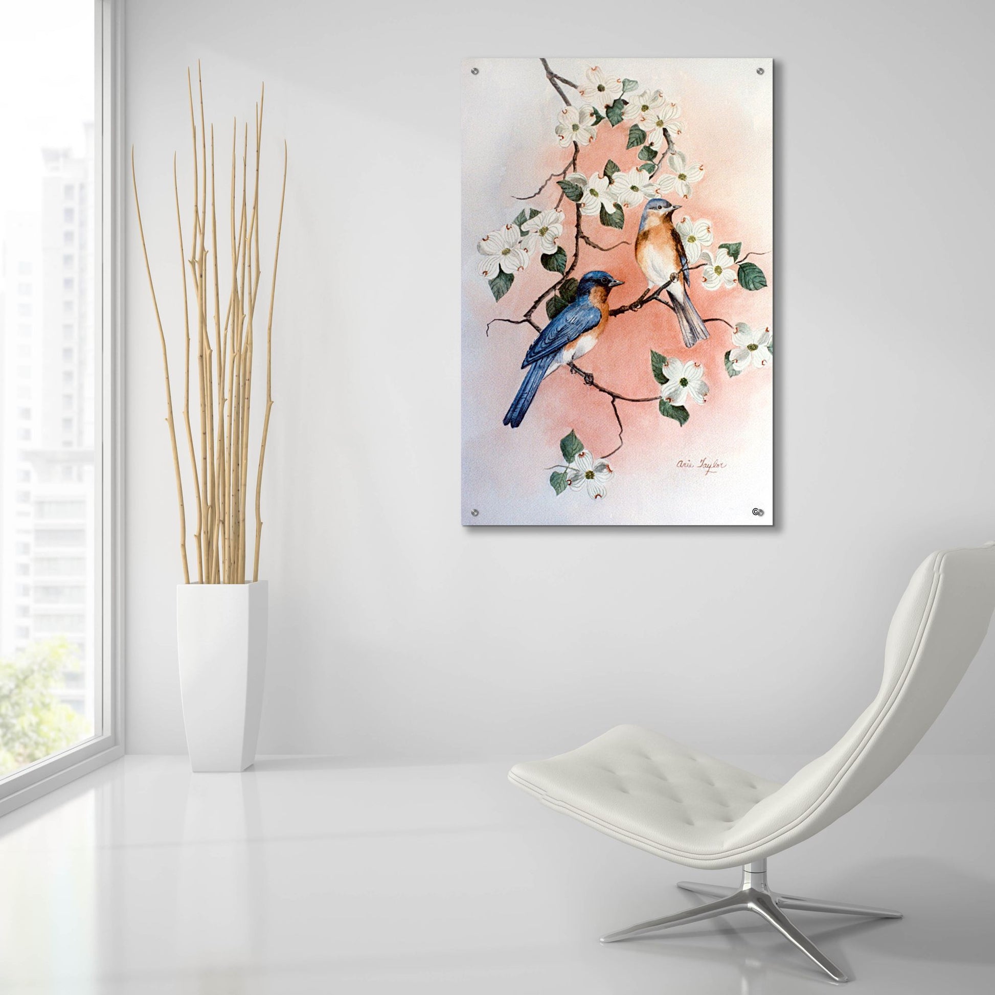 Epic Art 'Bluebirds and Dogwood' by Arie Reinhardt Taylor, Acrylic Glass Wall Art,24x36