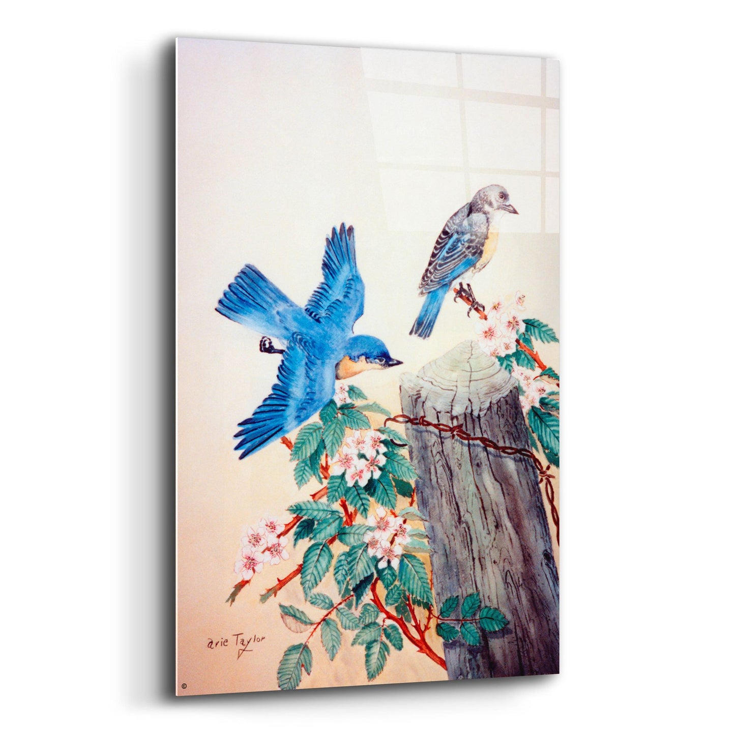 Epic Art 'Bluebirds' by Arie Reinhardt Taylor, Acrylic Glass Wall Art,12x16