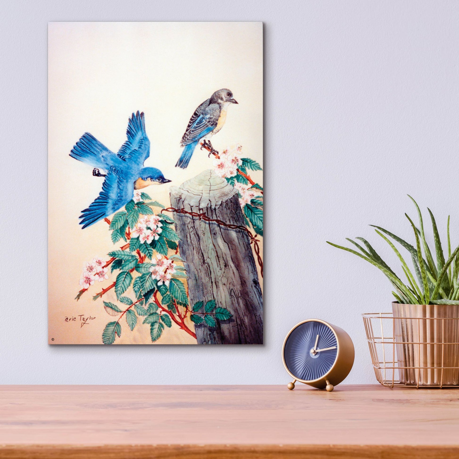 Epic Art 'Bluebirds' by Arie Reinhardt Taylor, Acrylic Glass Wall Art,12x16