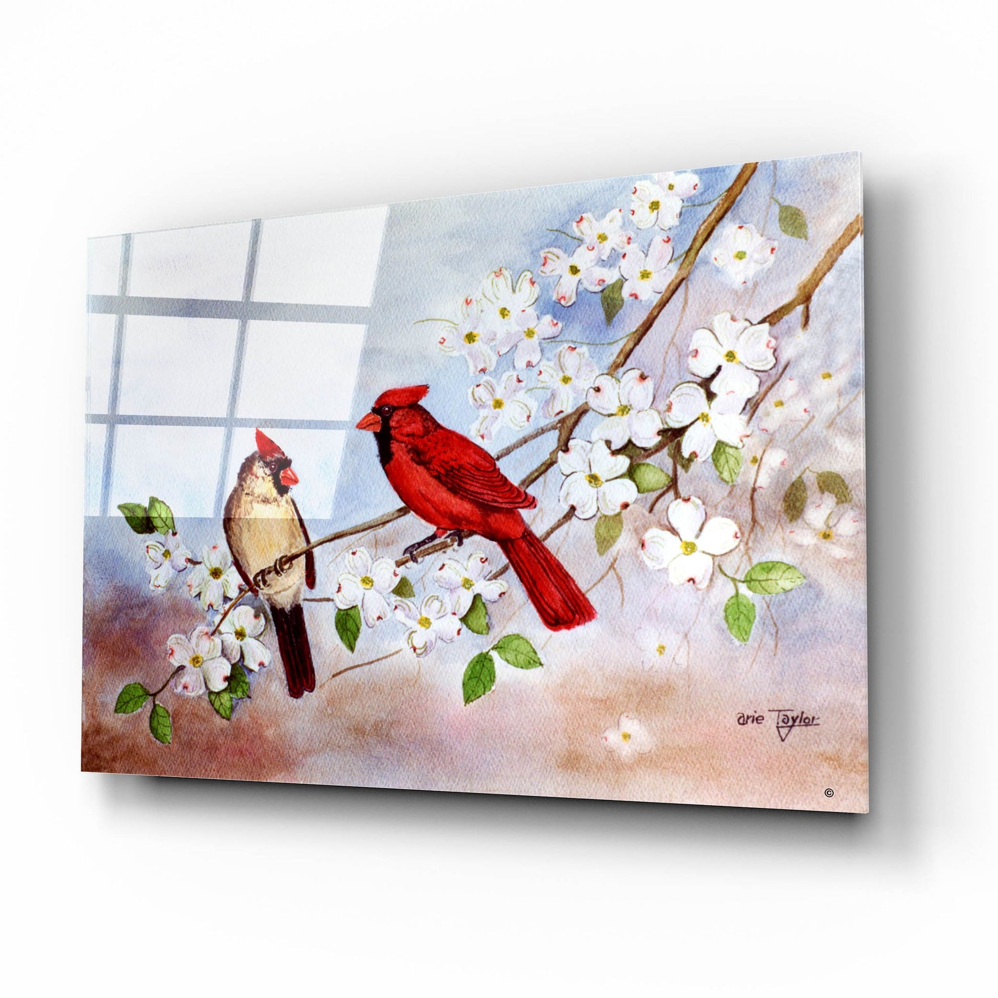 Epic Art 'Cardinals and Dogwood' by Arie Reinhardt Taylor, Acrylic Glass Wall Art,16x12