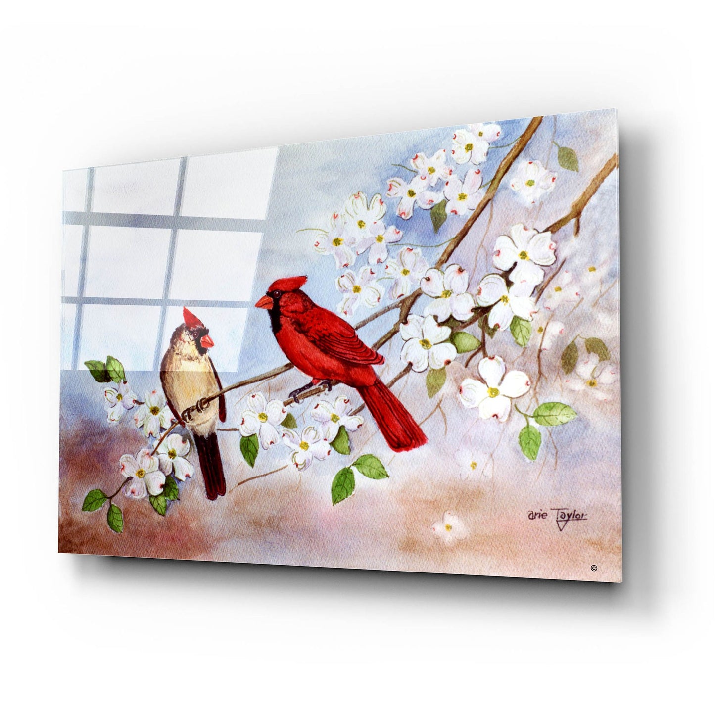 Epic Art 'Cardinals and Dogwood' by Arie Reinhardt Taylor, Acrylic Glass Wall Art,24x16