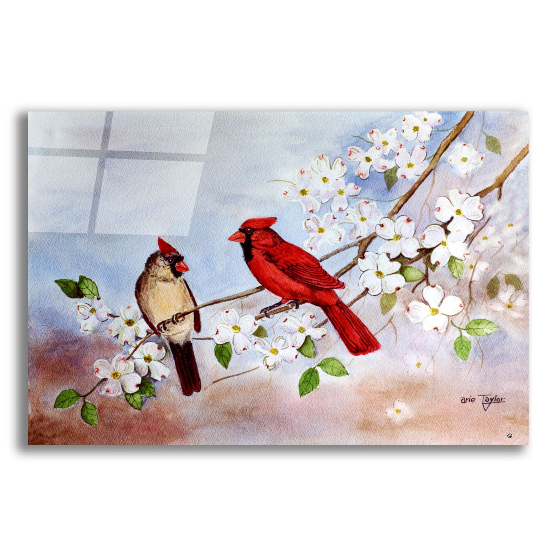 Epic Art 'Cardinals and Dogwood' by Arie Reinhardt Taylor, Acrylic Glass Wall Art,24x16