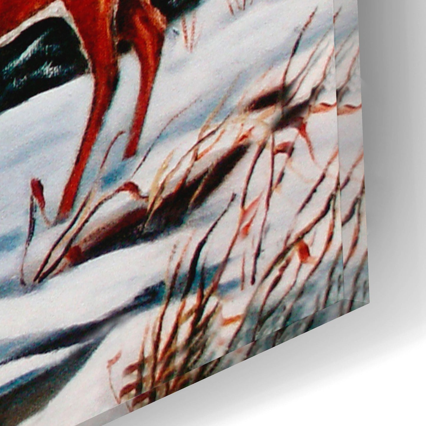 Epic Art 'Monarch in Winter' by Arie Reinhardt Taylor, Acrylic Glass Wall Art,16x12