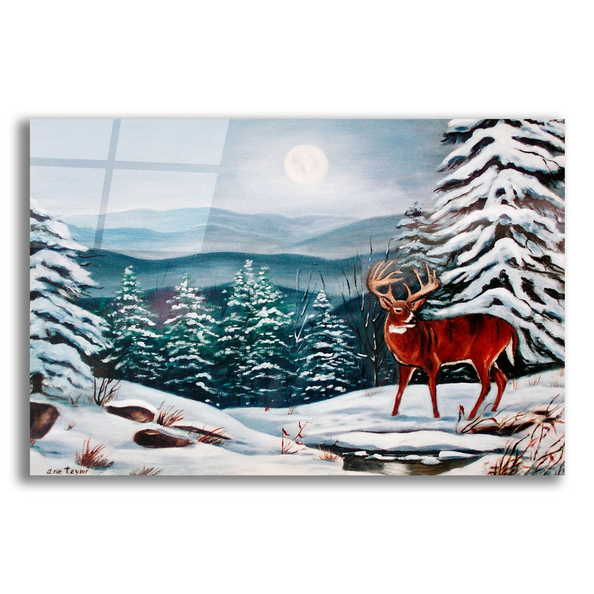 Monarch in Winter by Arie Reinhardt Taylor acrylic glass wall art