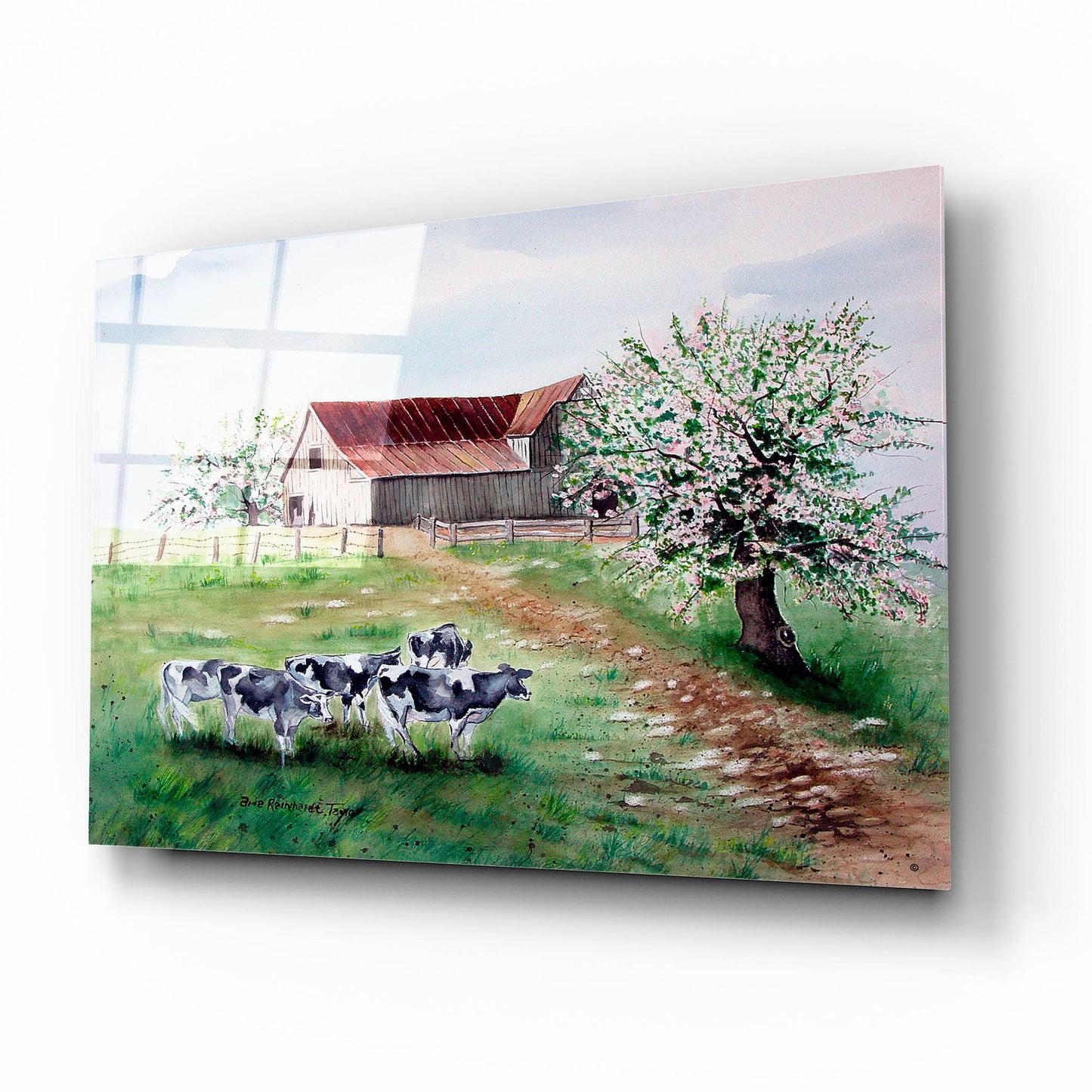 Epic Art 'Cows and a Barn' by Arie Reinhardt Taylor, Acrylic Glass Wall Art,16x12