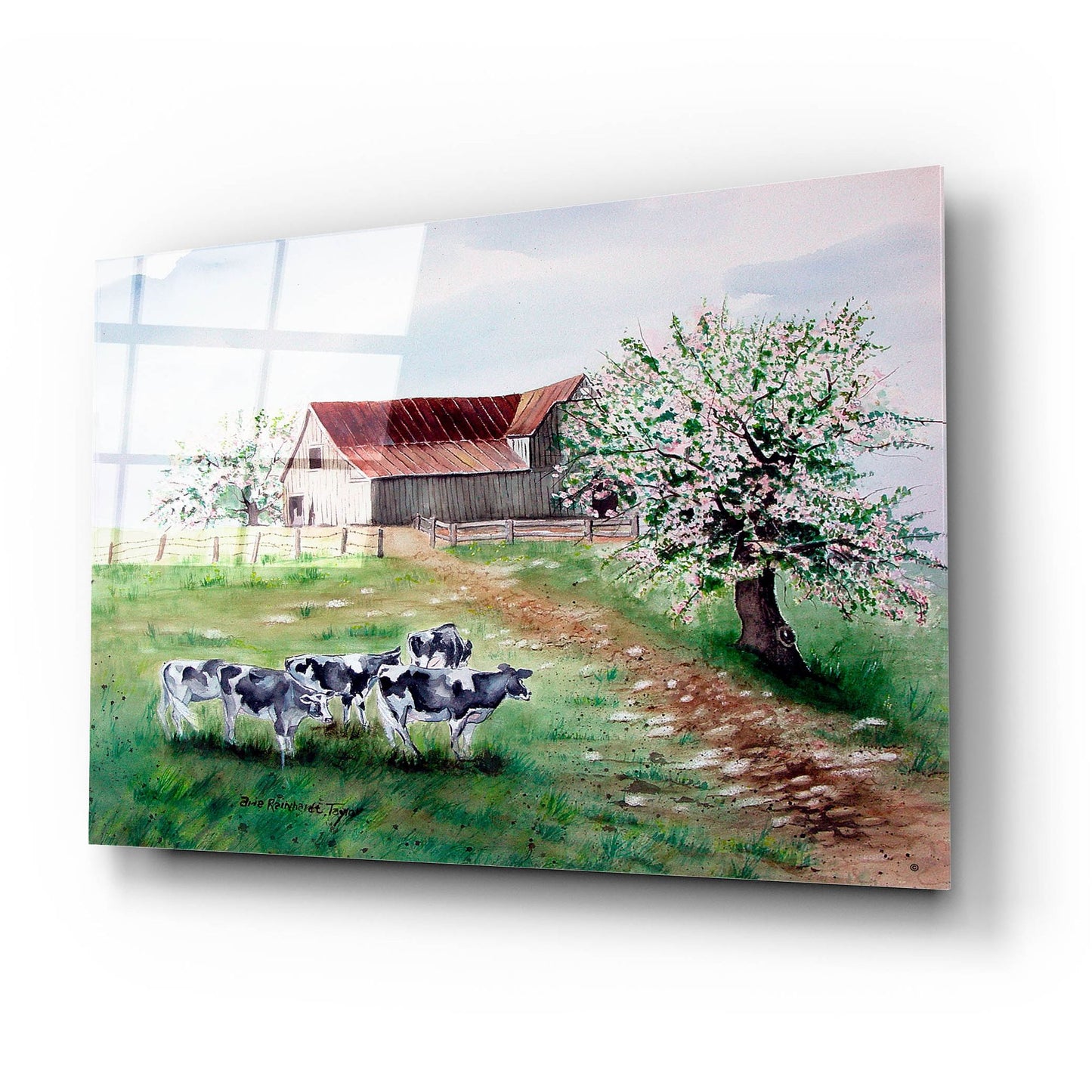 Epic Art 'Cows and a Barn' by Arie Reinhardt Taylor, Acrylic Glass Wall Art,24x16