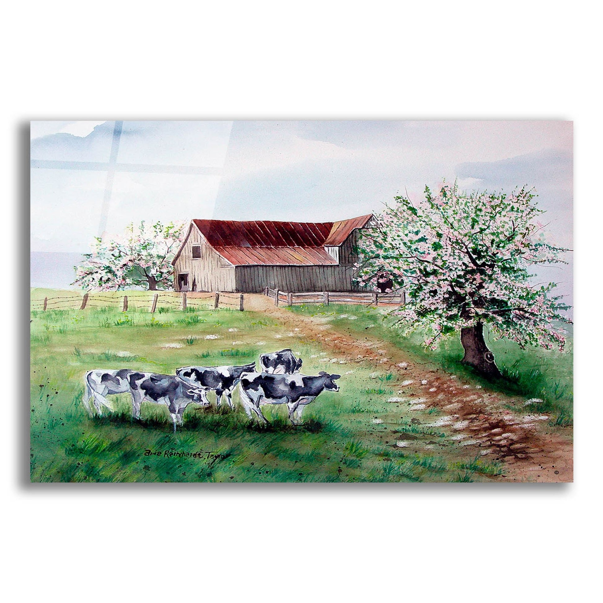 Epic Art 'Cows and a Barn' by Arie Reinhardt Taylor, Acrylic Glass Wall Art,24x16