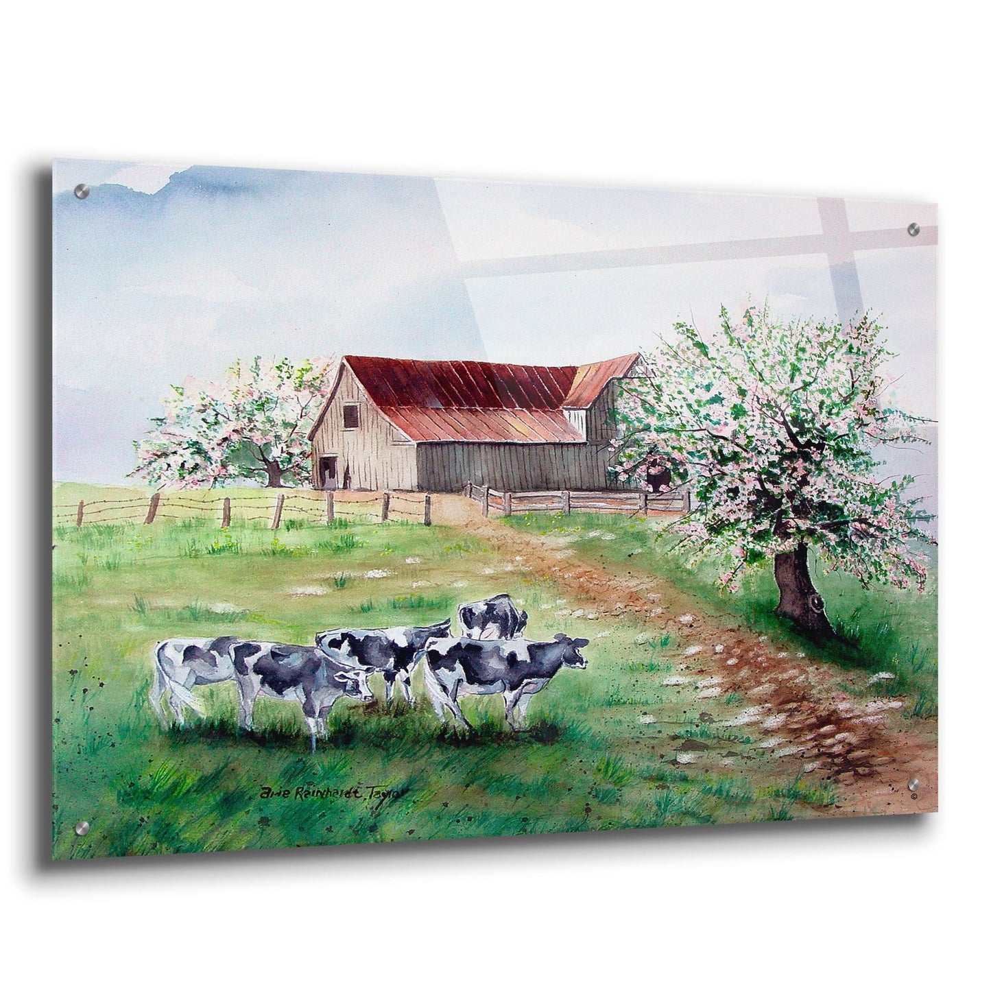 Epic Art 'Cows and a Barn' by Arie Reinhardt Taylor, Acrylic Glass Wall Art,36x24