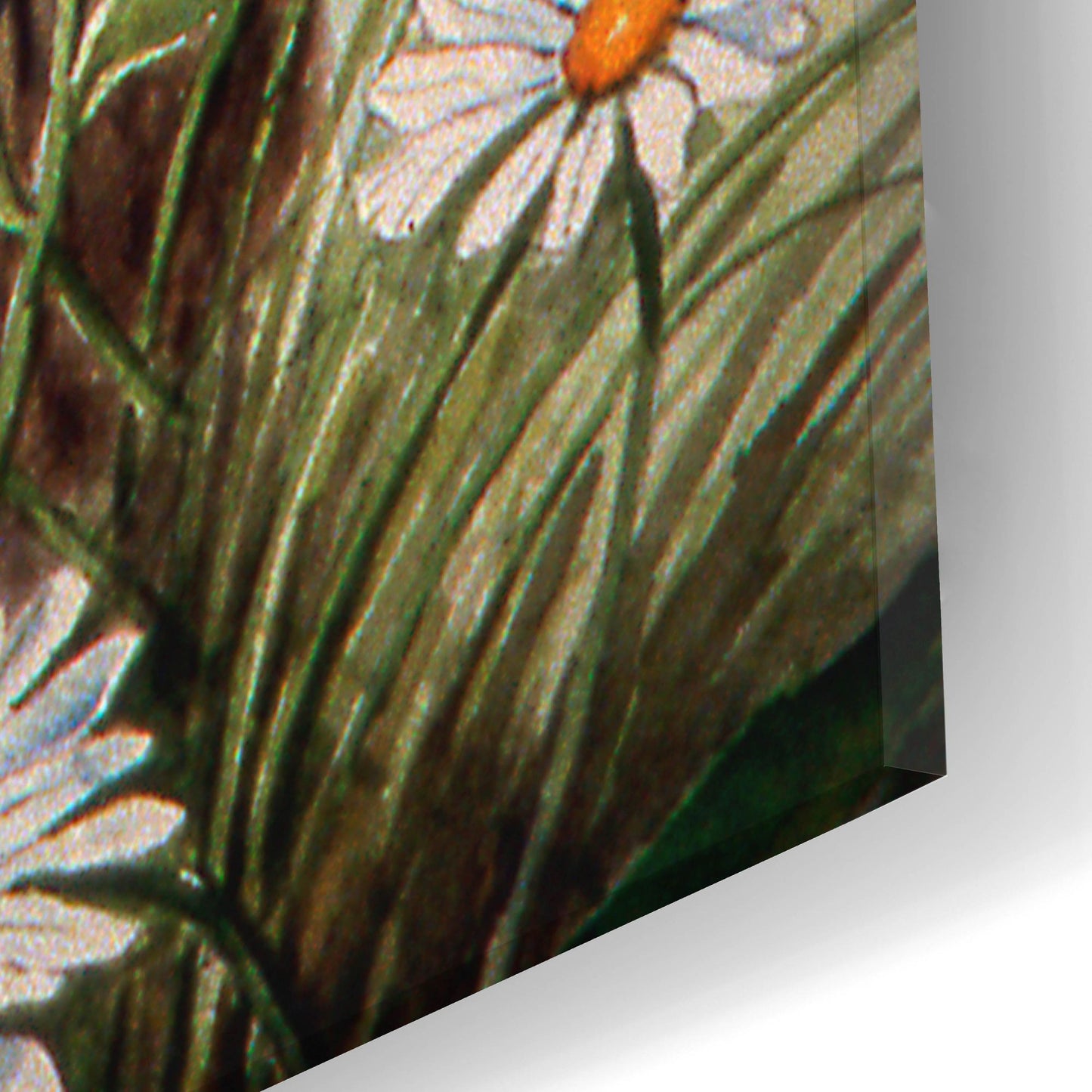 Epic Art 'Bluebirds With Daisies 2' by Arie Reinhardt Taylor, Acrylic Glass Wall Art,16x24