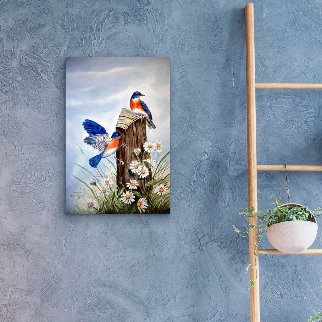Bluebirds With Daisies 2 by Arie Reinhardt Taylor - 16x24 acrylic wall art in a room
