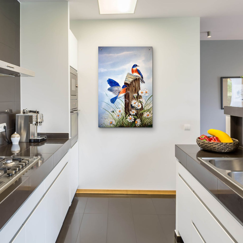 Bluebirds With Daisies 2 by Arie Reinhardt Taylor - 24x36 acrylic wall art in a room