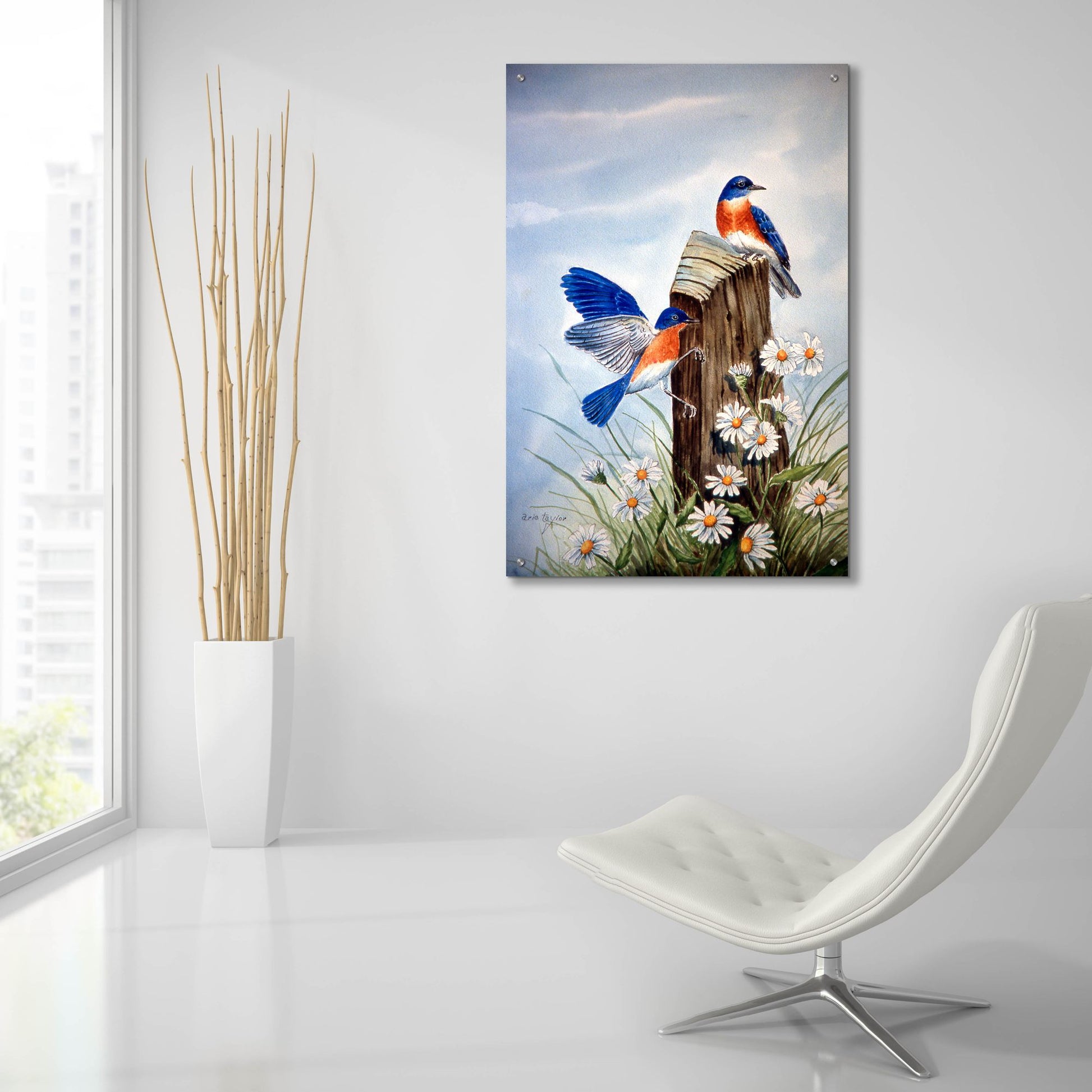 Epic Art 'Bluebirds With Daisies 2' by Arie Reinhardt Taylor, Acrylic Glass Wall Art,24x36