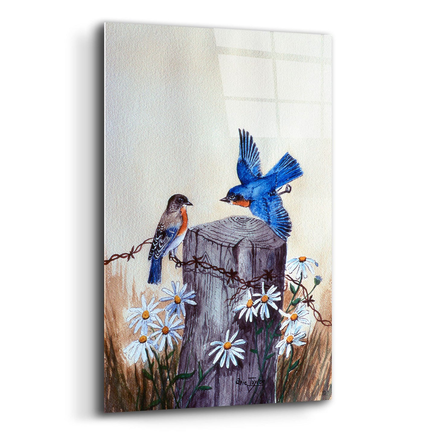 Epic Art 'Bluebirds With Daisies 3' by Arie Reinhardt Taylor, Acrylic Glass Wall Art,12x16