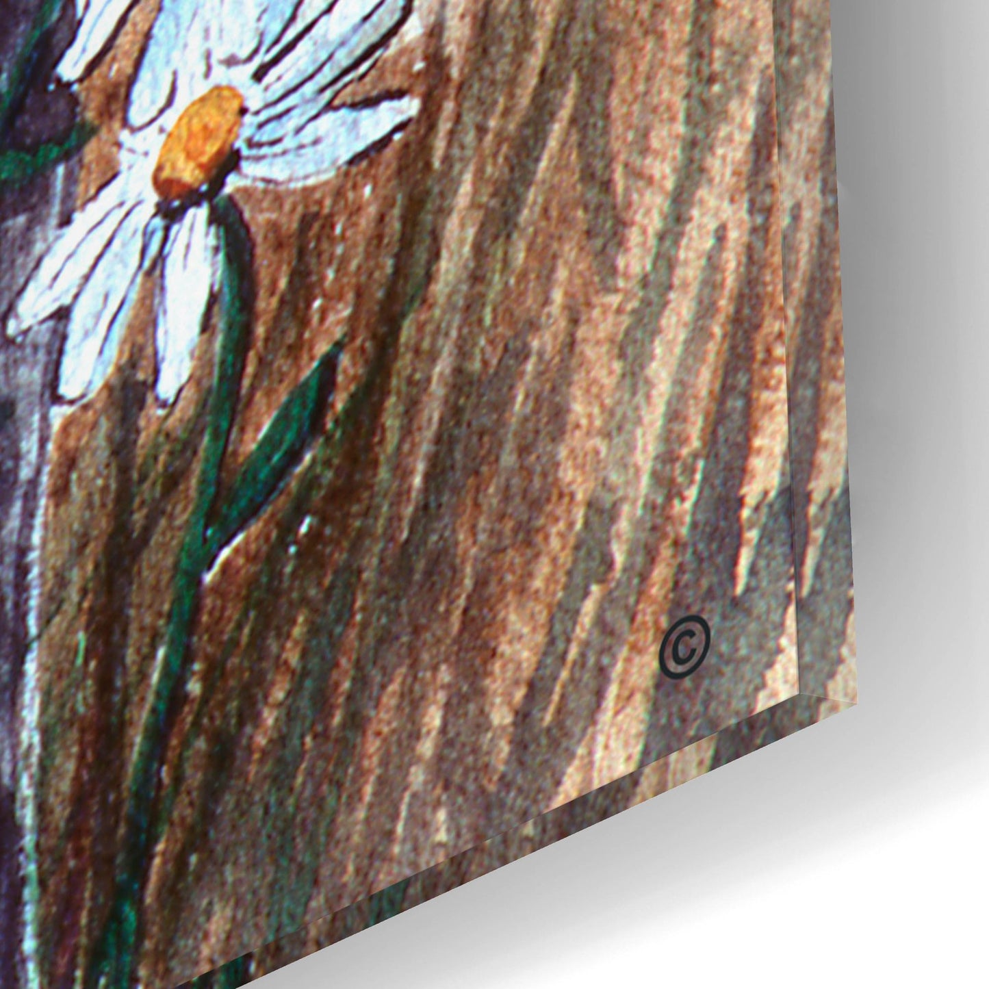 Epic Art 'Bluebirds With Daisies 3' by Arie Reinhardt Taylor, Acrylic Glass Wall Art,12x16