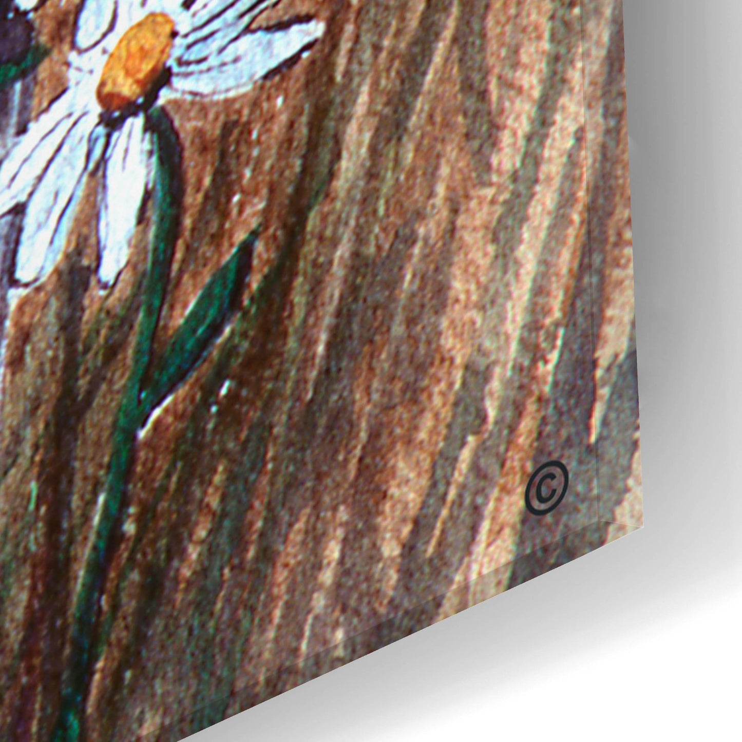 Epic Art 'Bluebirds With Daisies 3' by Arie Reinhardt Taylor, Acrylic Glass Wall Art,16x24