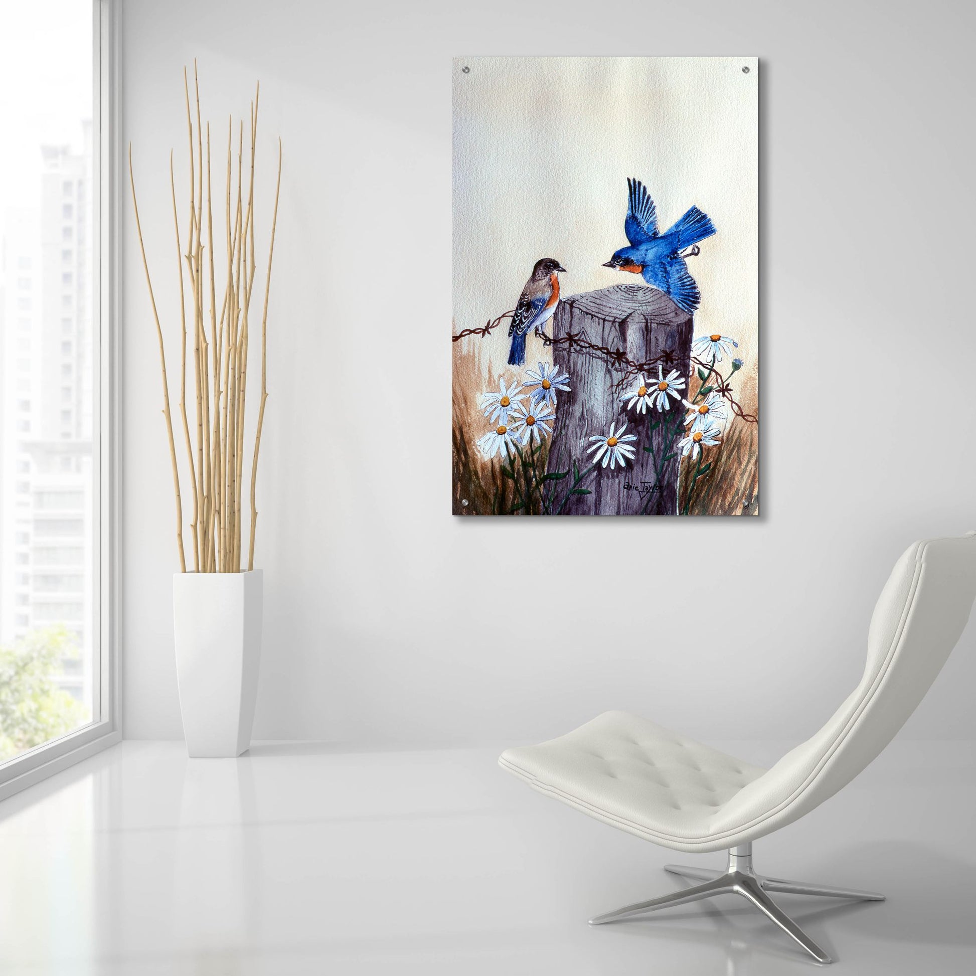 Epic Art 'Bluebirds With Daisies 3' by Arie Reinhardt Taylor, Acrylic Glass Wall Art,24x36