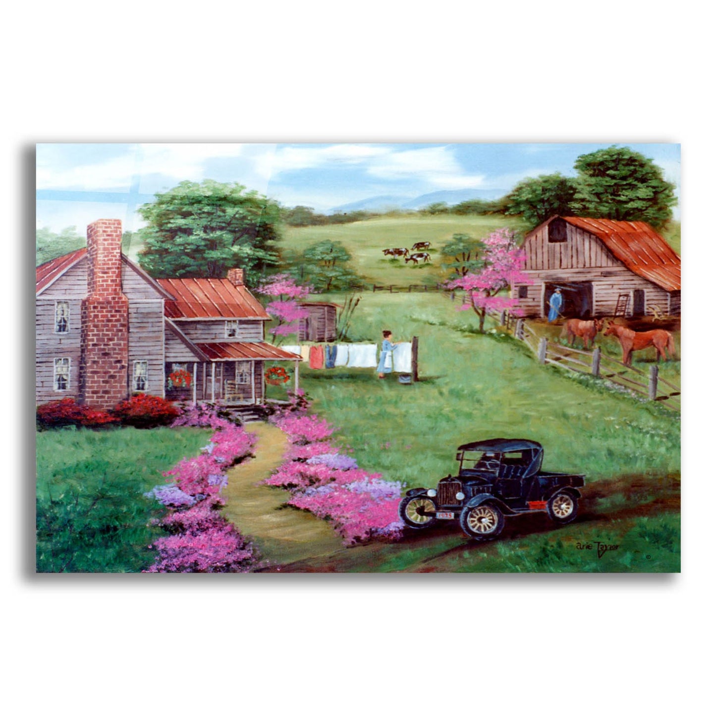 Epic Art 'Rural Roots' by Arie Reinhardt Taylor, Acrylic Glass Wall Art,24x16