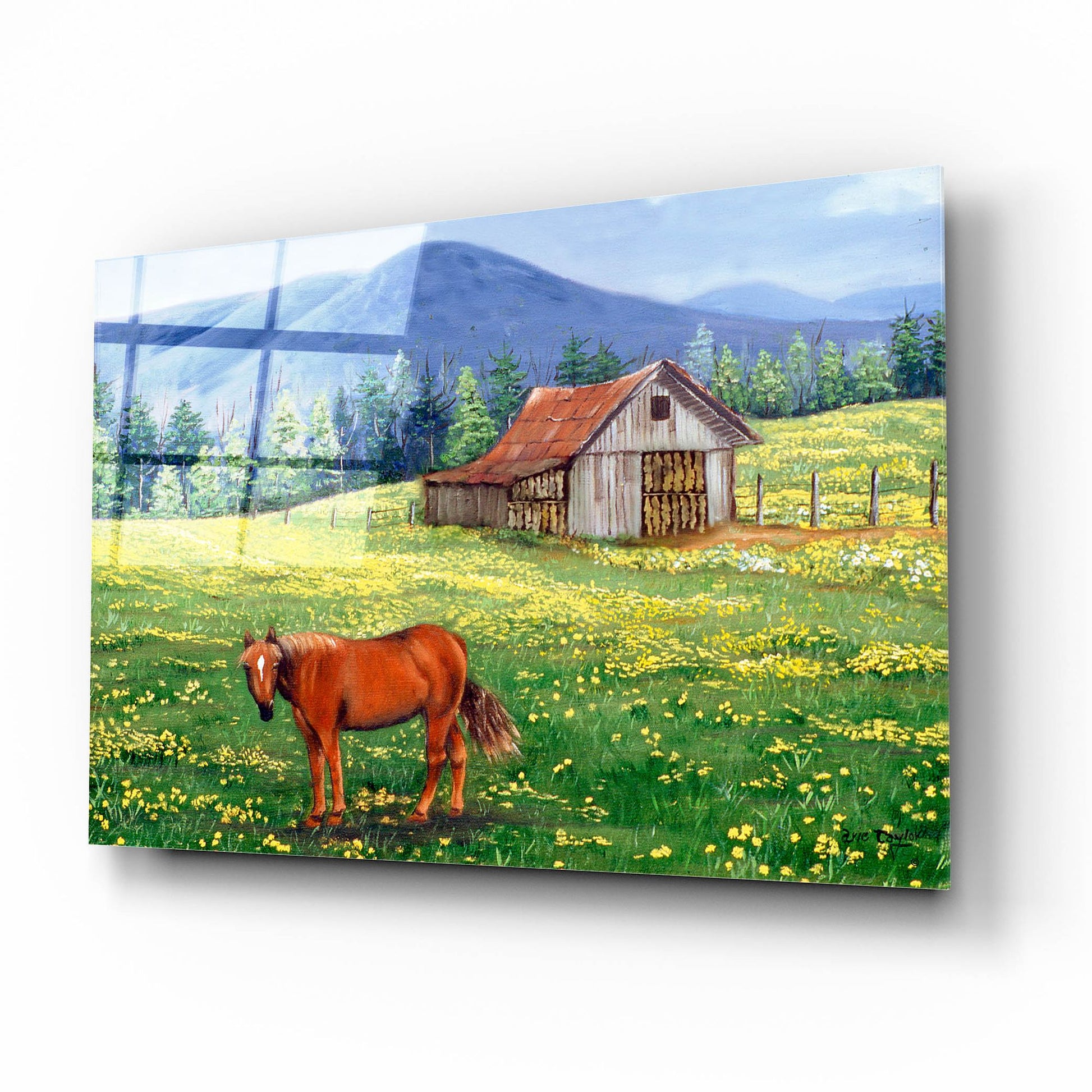 Epic Art 'The Tobacco Barn' by Arie Reinhardt Taylor, Acrylic Glass Wall Art,16x12