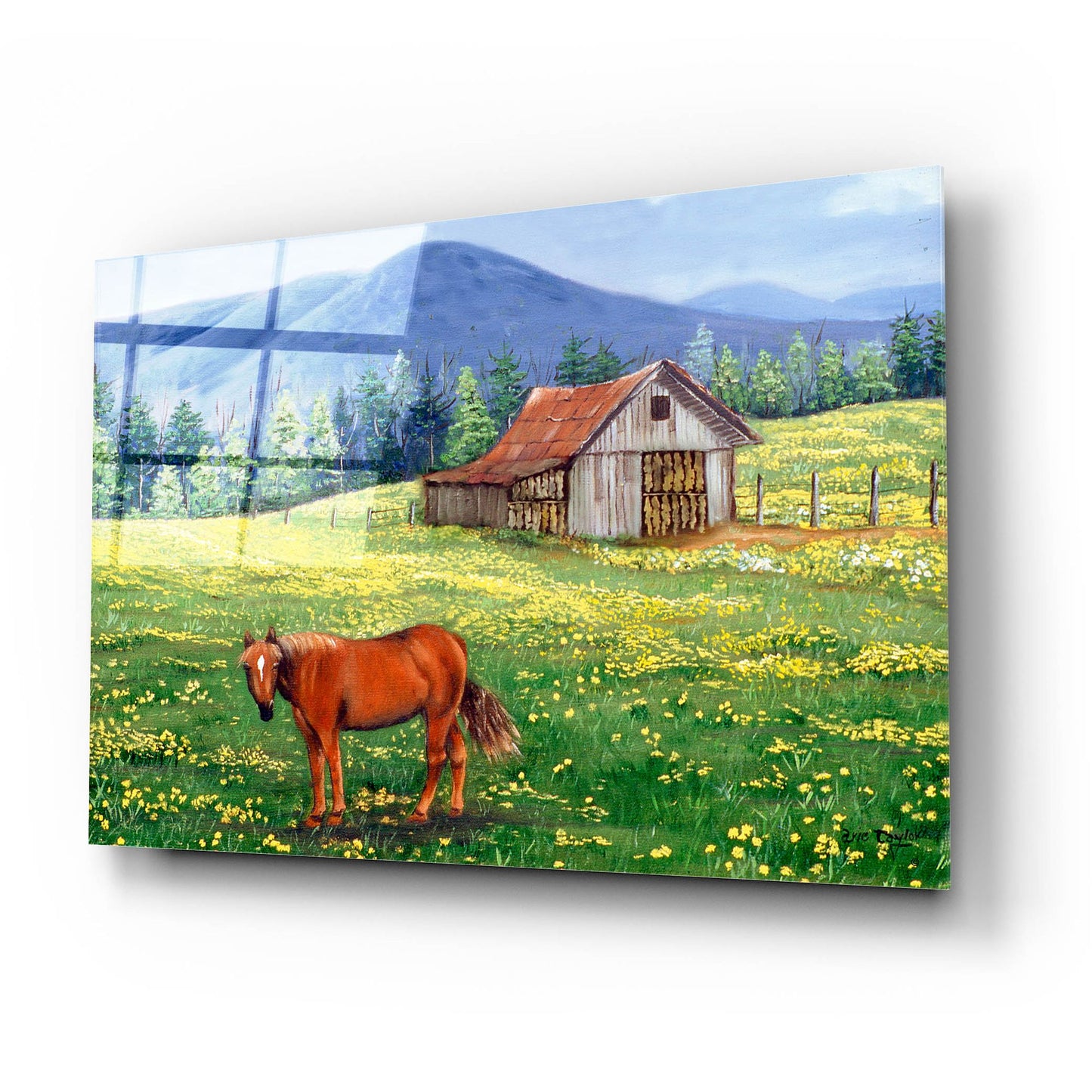 Epic Art 'The Tobacco Barn' by Arie Reinhardt Taylor, Acrylic Glass Wall Art,24x16