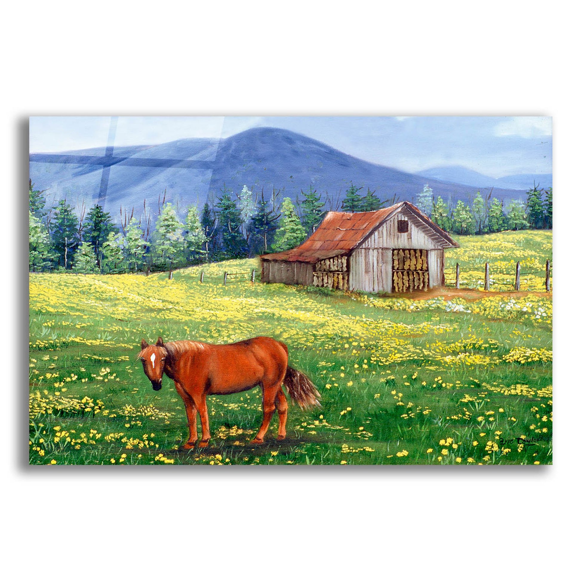 Epic Art 'The Tobacco Barn' by Arie Reinhardt Taylor, Acrylic Glass Wall Art,24x16