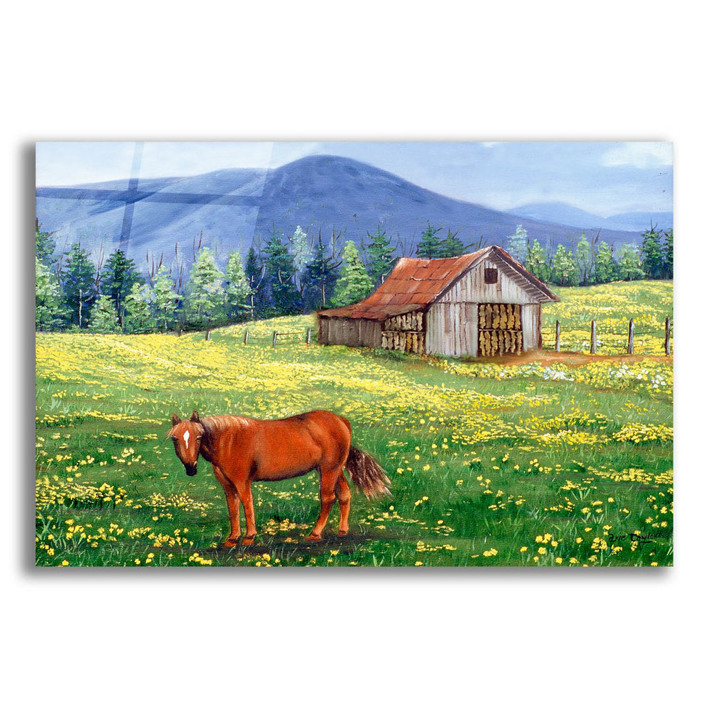 The Tobacco Barn by Arie Reinhardt Taylor acrylic glass wall art