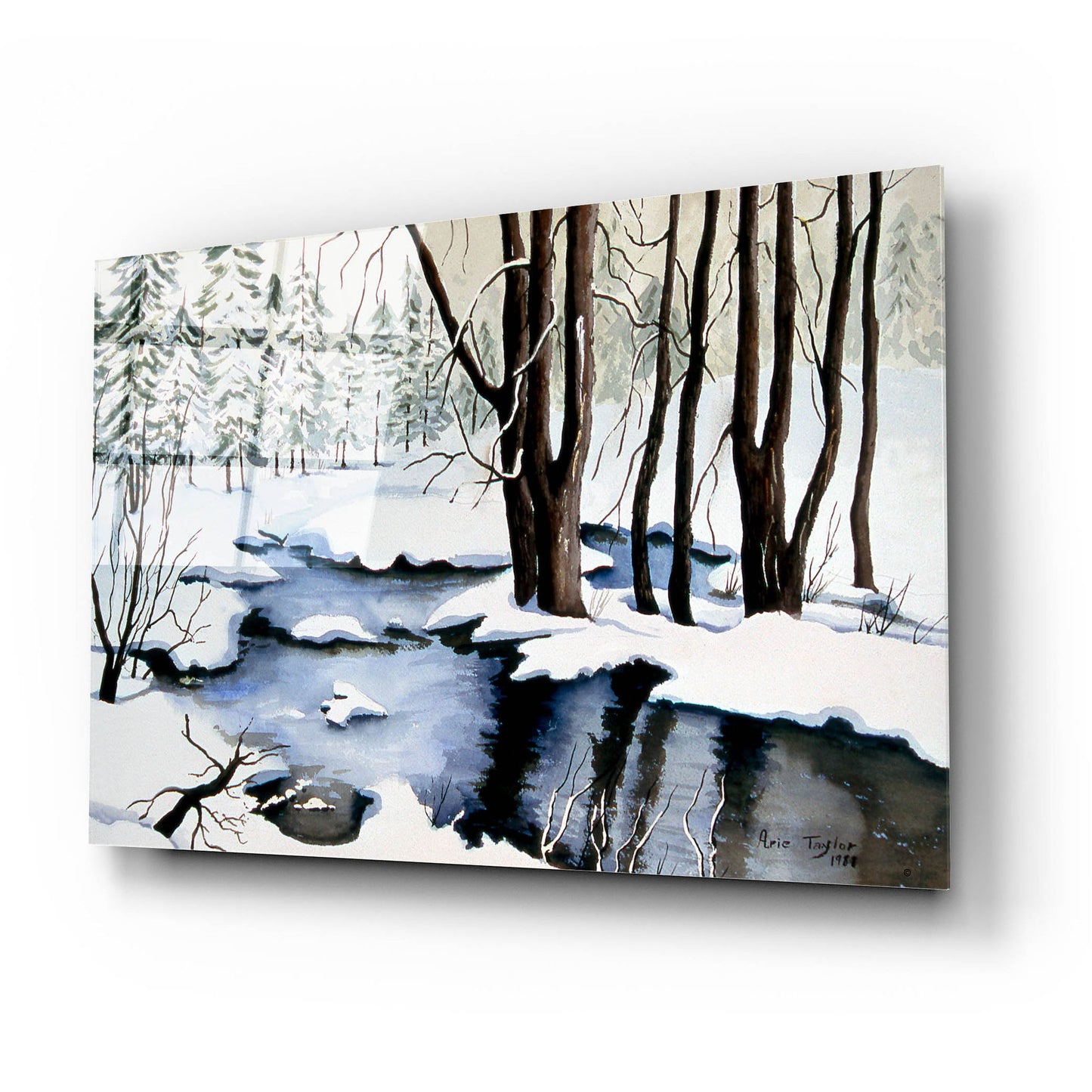 Epic Art 'Snow Trees' by Arie Reinhardt Taylor, Acrylic Glass Wall Art,24x16