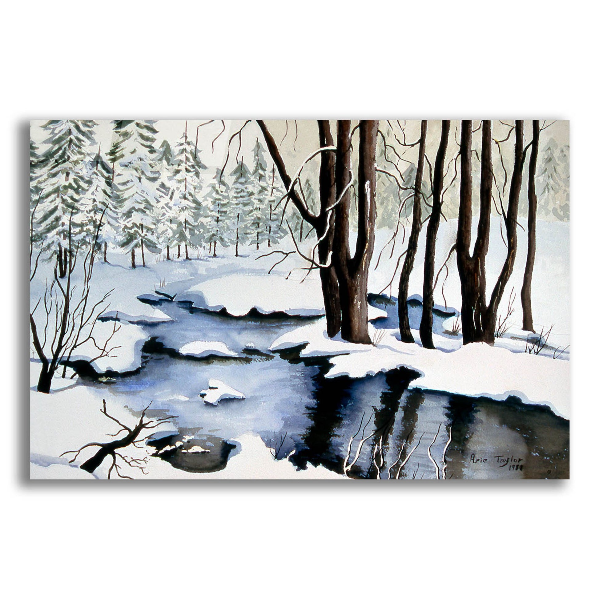 Epic Art 'Snow Trees' by Arie Reinhardt Taylor, Acrylic Glass Wall Art,24x16