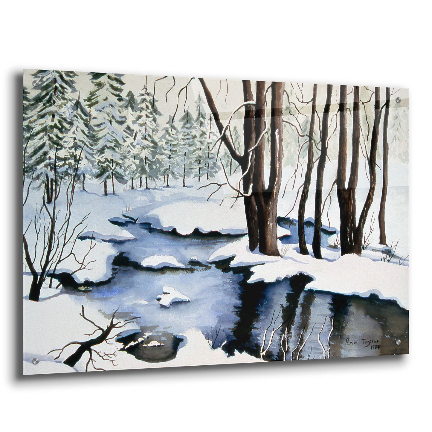 Epic Art 'Snow Trees' by Arie Reinhardt Taylor, Acrylic Glass Wall Art,36x24