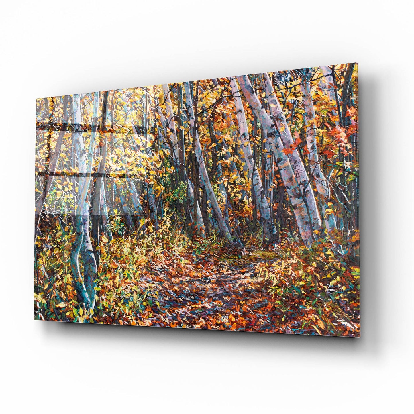 Epic Art 'Autumn Majesty' by Joanne Towers, Acrylic Glass Wall Art,16x12