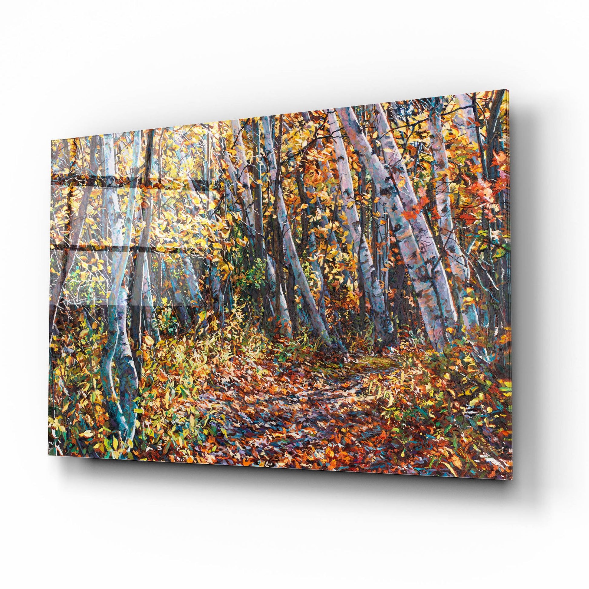 Epic Art 'Autumn Majesty' by Joanne Towers, Acrylic Glass Wall Art,16x12