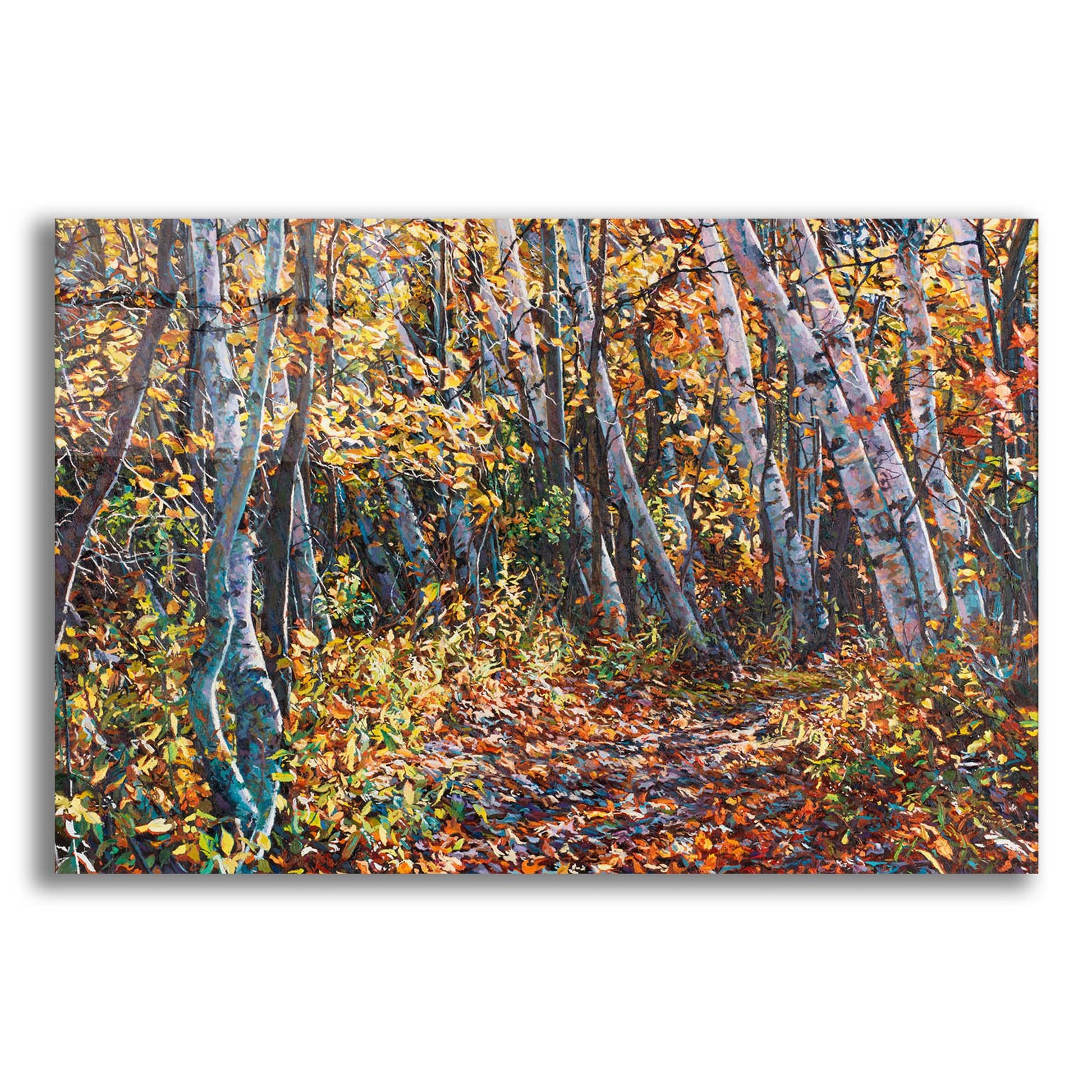 Epic Art 'Autumn Majesty' by Joanne Towers, Acrylic Glass Wall Art,24x16