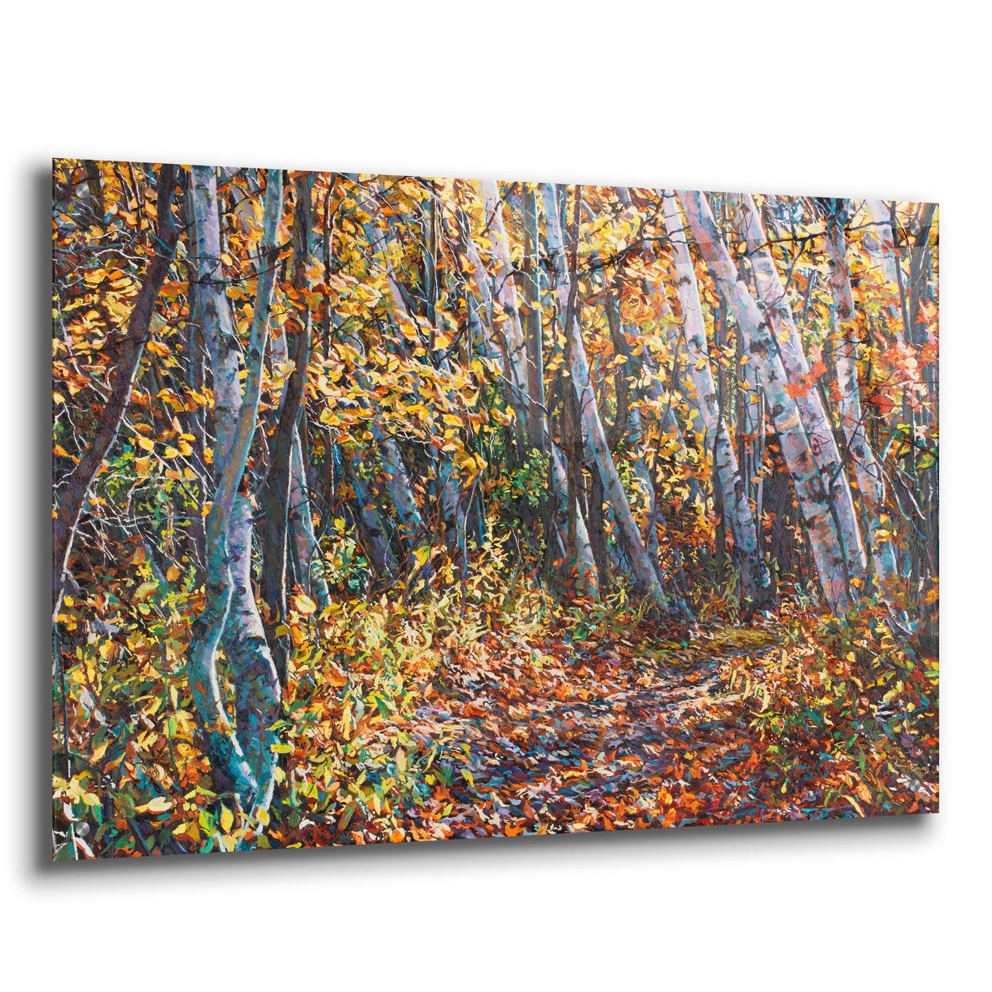 Epic Art 'Autumn Majesty' by Joanne Towers, Acrylic Glass Wall Art,36x24