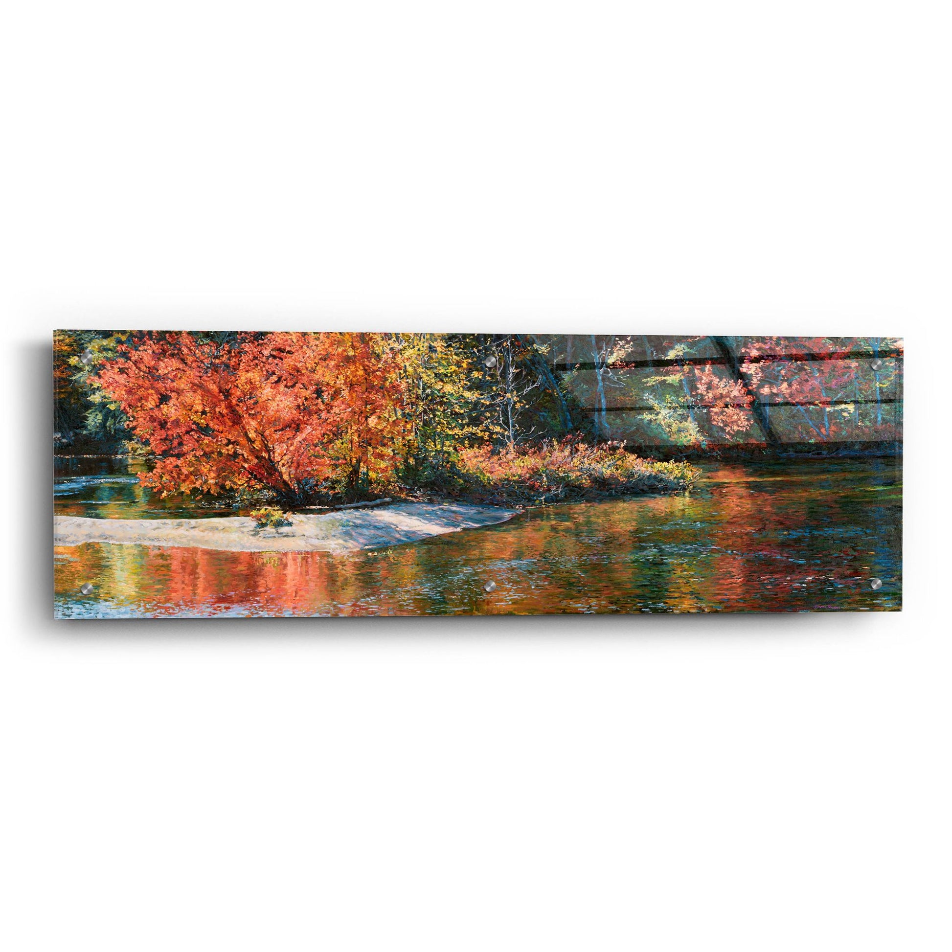 Epic Art 'Autumn Splendor' by Joanne Towers, Acrylic Glass Wall Art,36x12