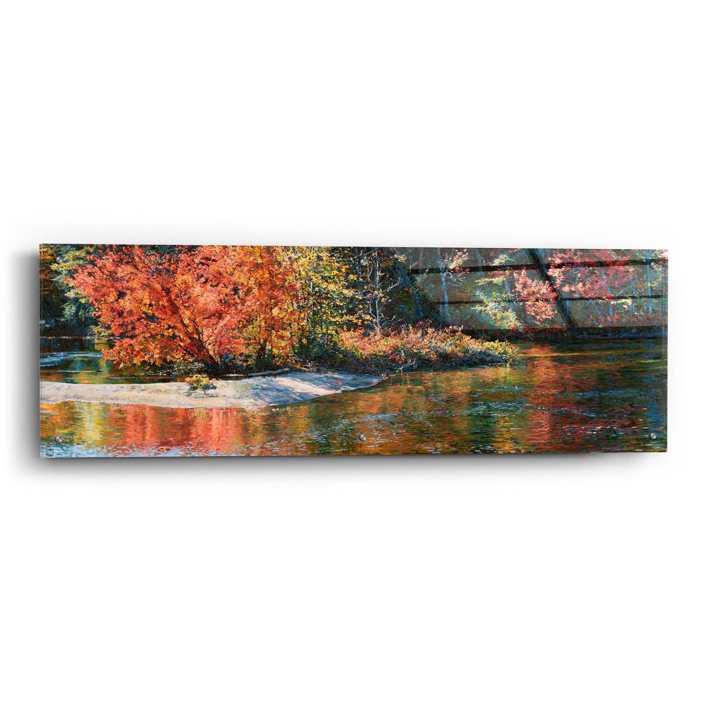 Epic Art 'Autumn Splendor' by Joanne Towers, Acrylic Glass Wall Art,48x16