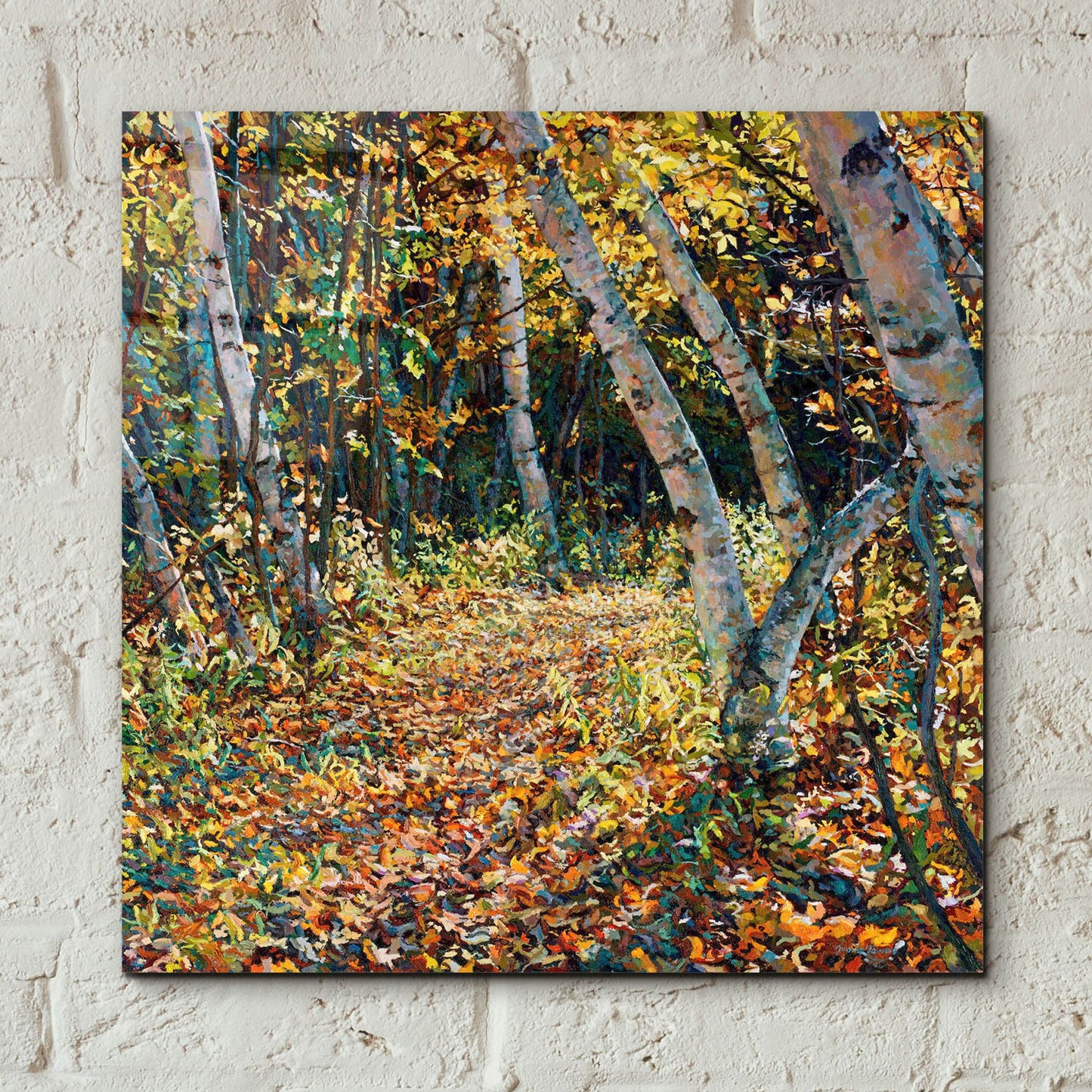 Epic Art 'Bend in the Trail' by Joanne Towers, Acrylic Glass Wall Art,12x12