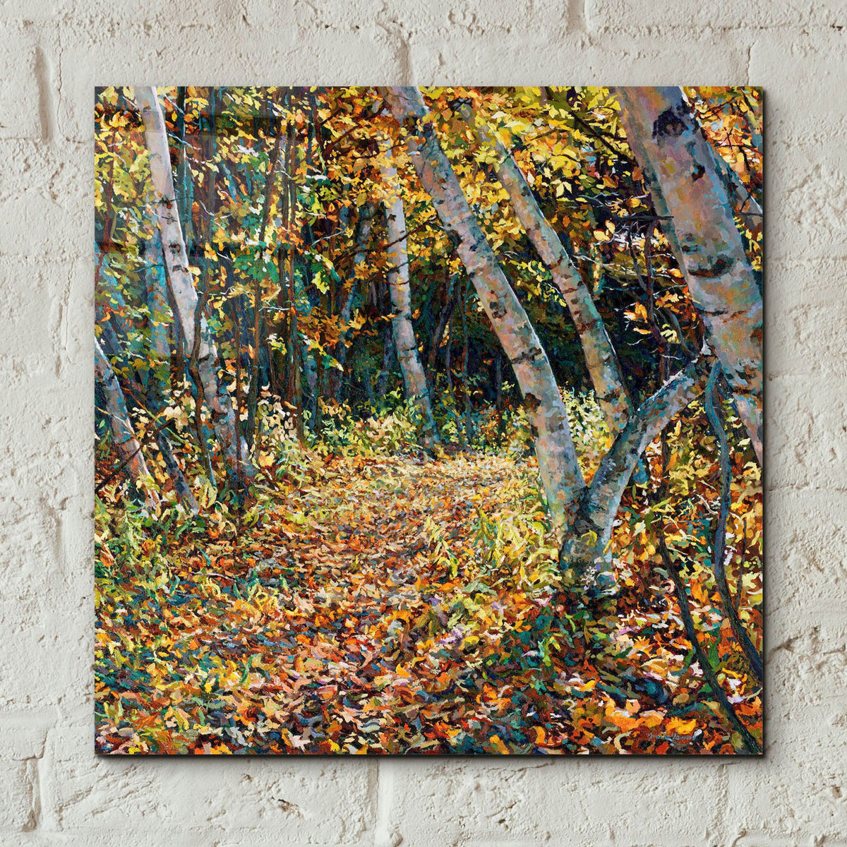Epic Art 'Bend in the Trail' by Joanne Towers, Acrylic Glass Wall Art,12x12