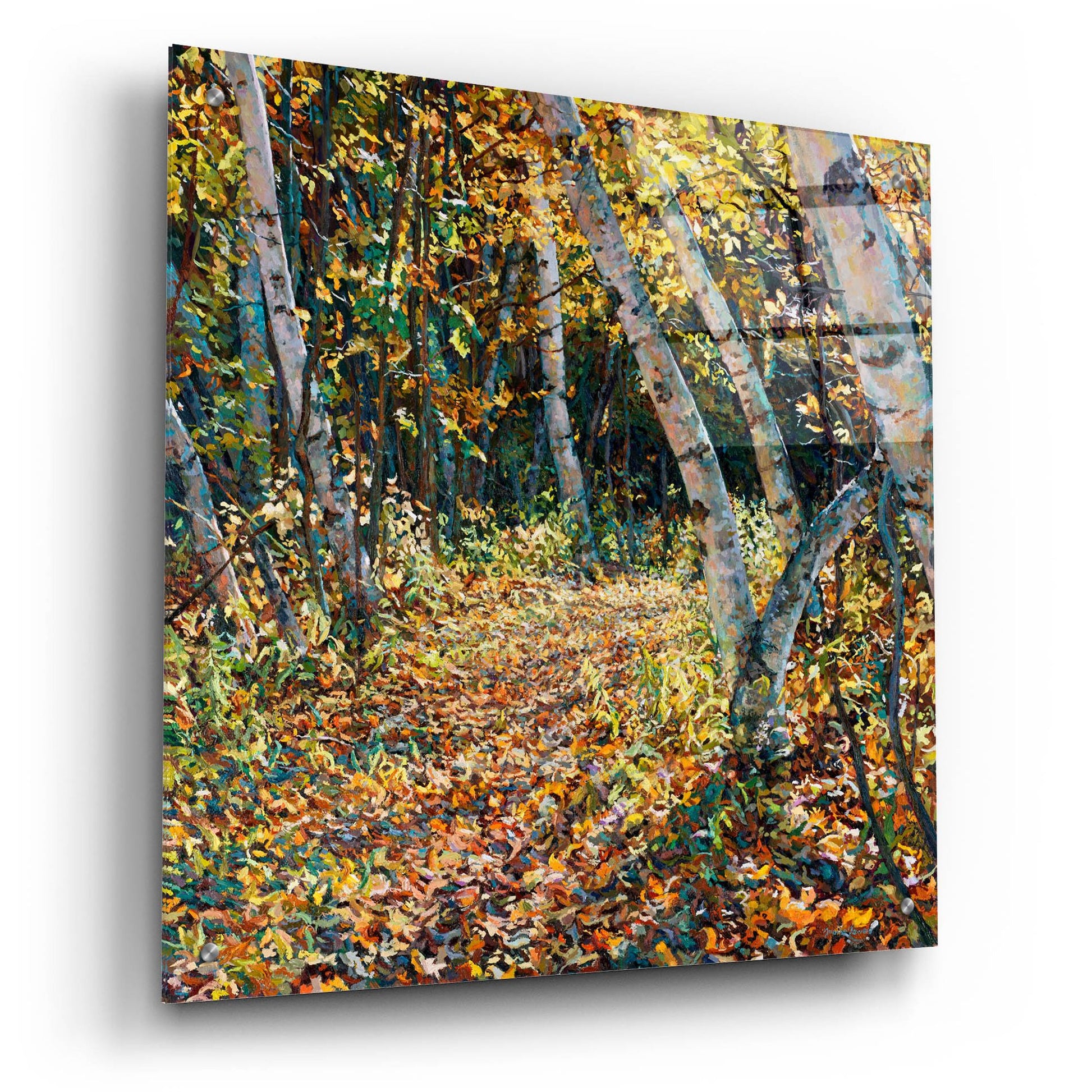 Epic Art 'Bend in the Trail' by Joanne Towers, Acrylic Glass Wall Art,24x24