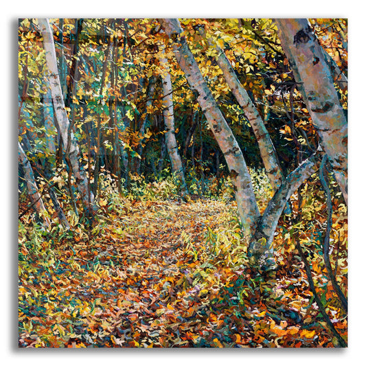 Epic Art 'Bend in the Trail' by Joanne Towers, Acrylic Glass Wall Art