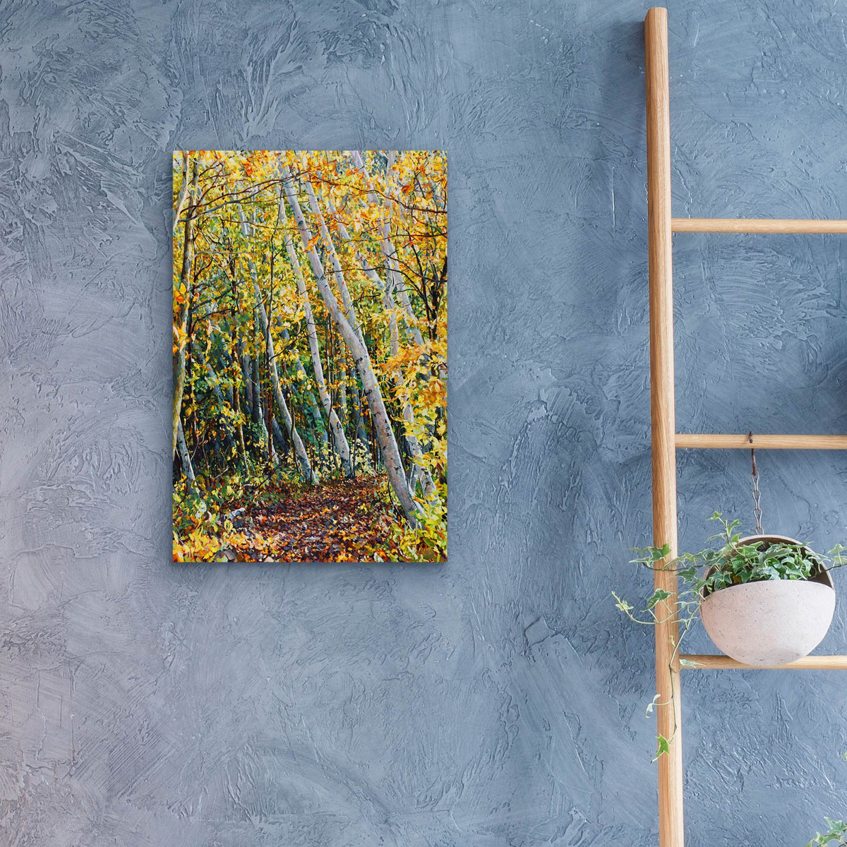 Epic Art 'Birch Path' by Joanne Towers, Acrylic Glass Wall Art,16x24
