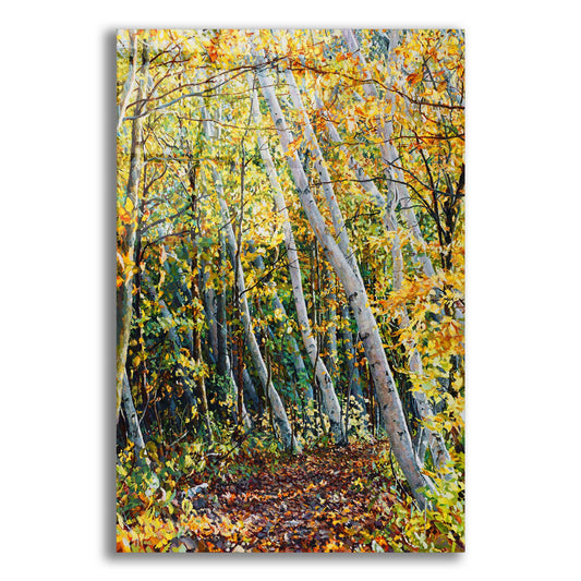 Epic Art 'Birch Path' by Joanne Towers, Acrylic Glass Wall Art