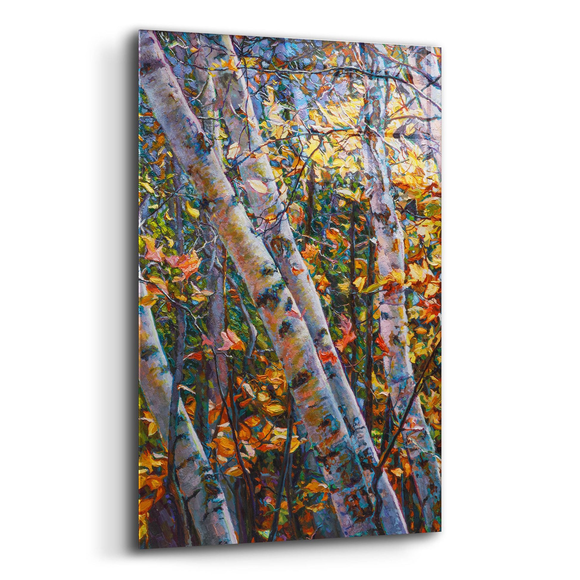 Epic Art 'Birches' by Joanne Towers, Acrylic Glass Wall Art,12x16