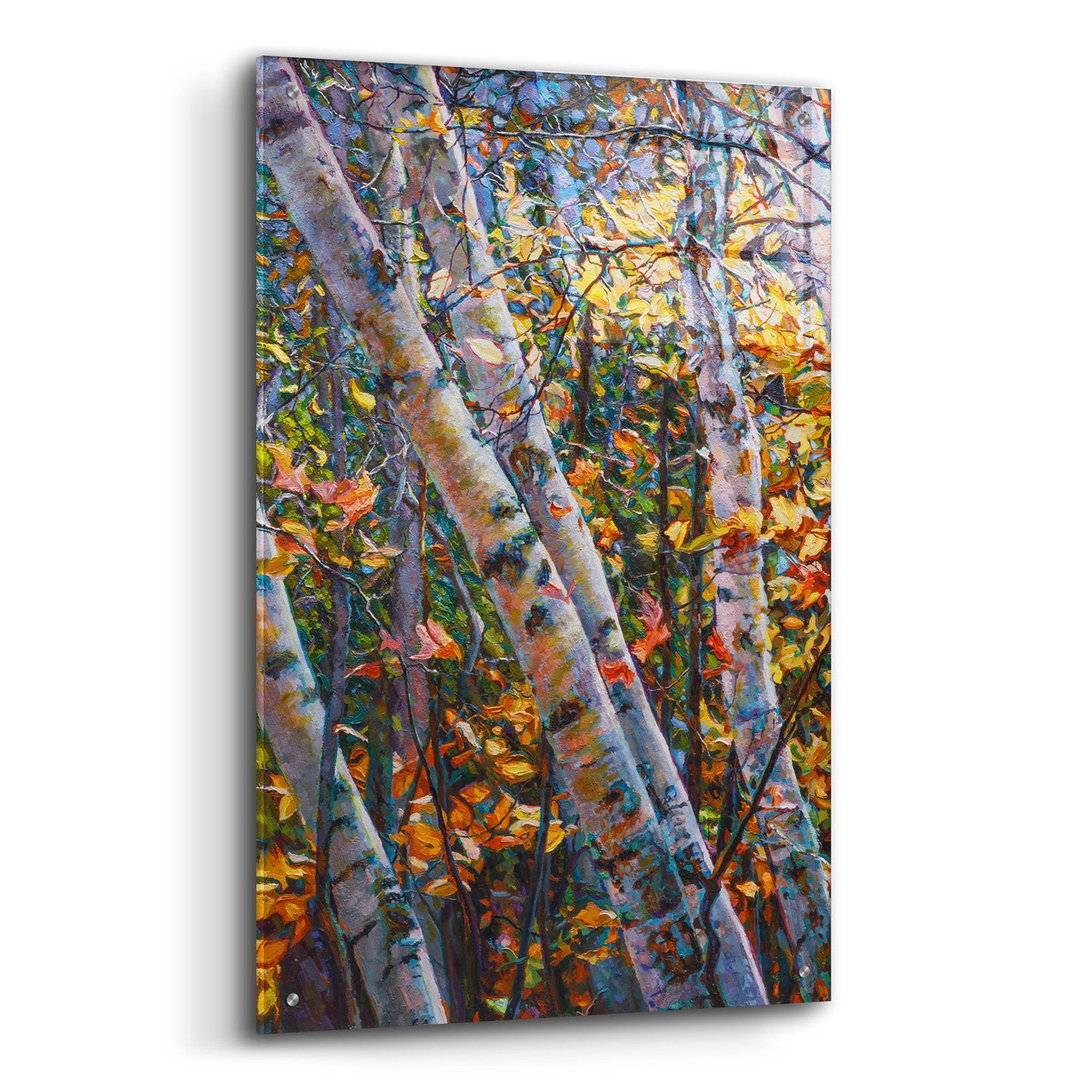 Epic Art 'Birches' by Joanne Towers, Acrylic Glass Wall Art,24x36